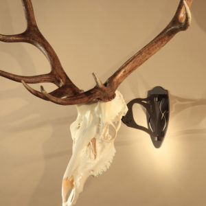 Skull Hooker
