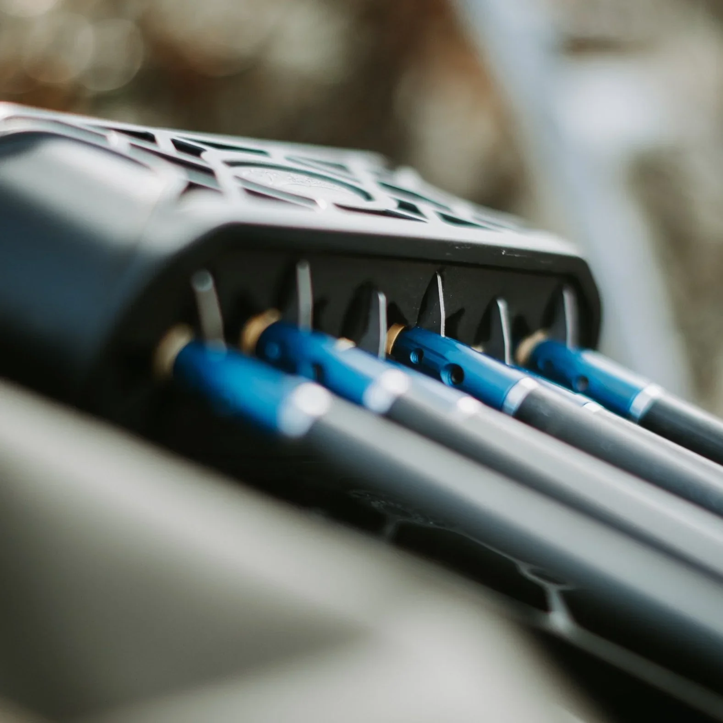Swhacker Levi Morgan #261 Broadheads