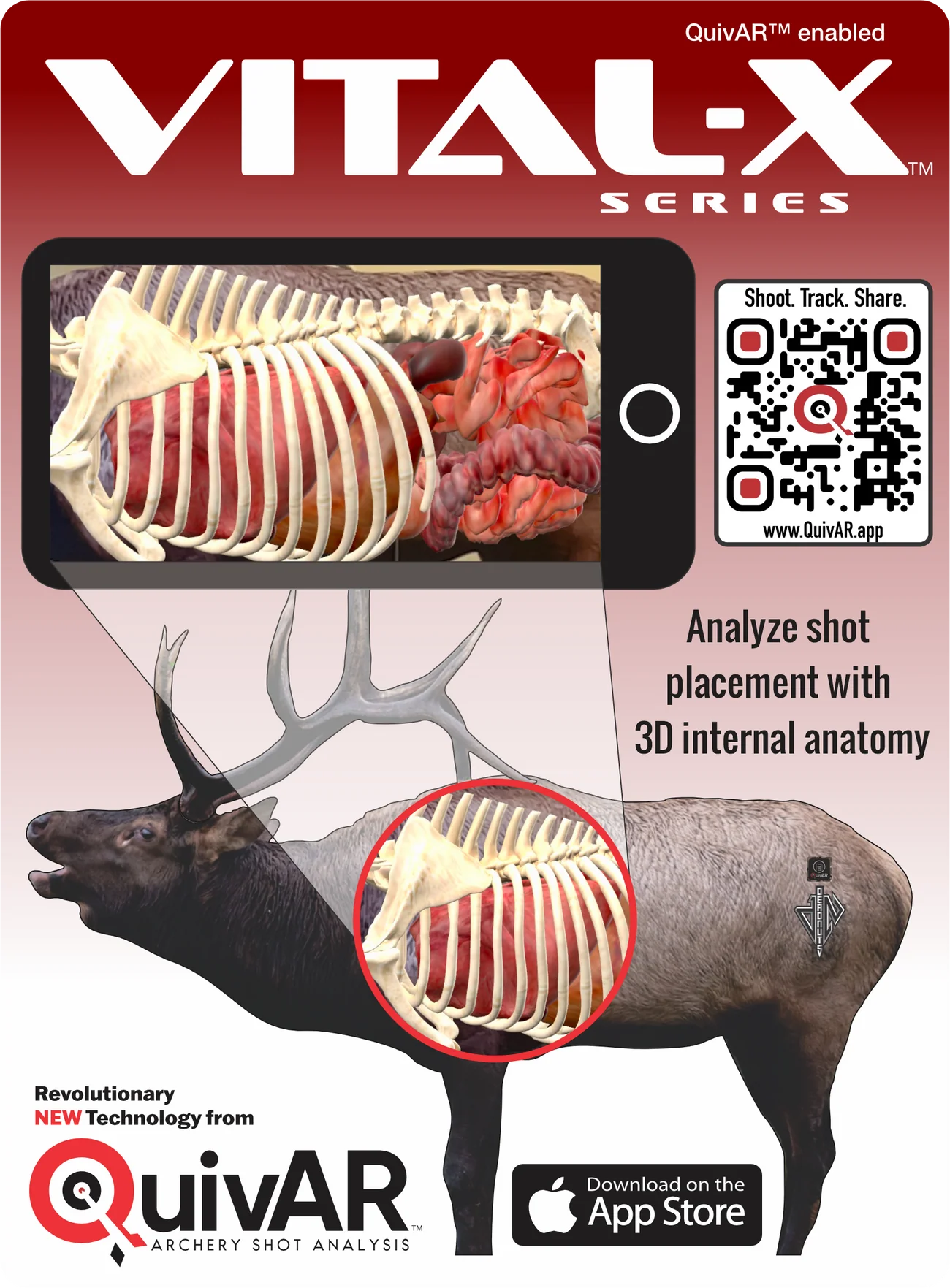QUIVAR ENABLED DEADNUTS 2D ARCHERY TARGETS