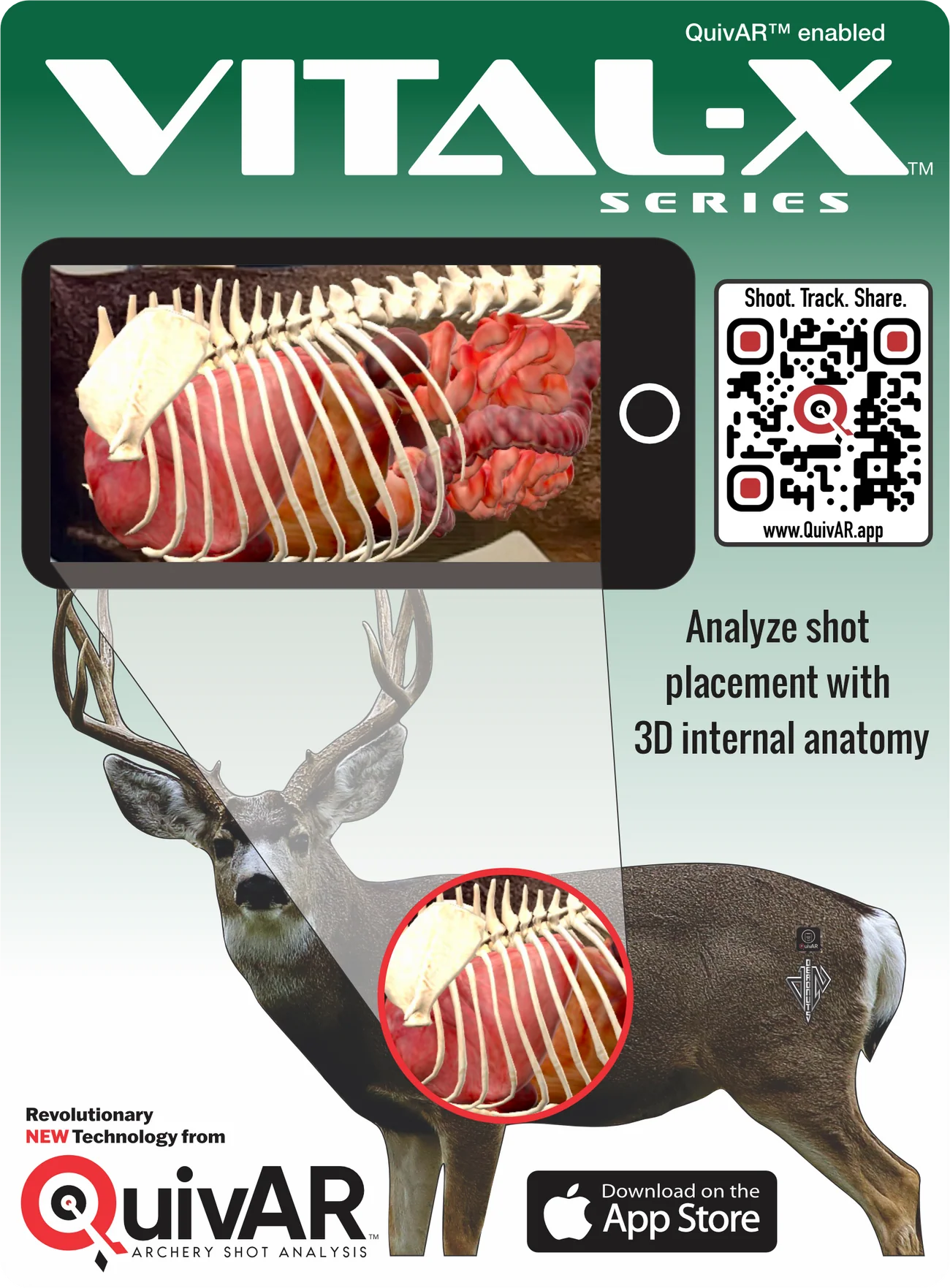QUIVAR ENABLED DEADNUTS 2D ARCHERY TARGETS
