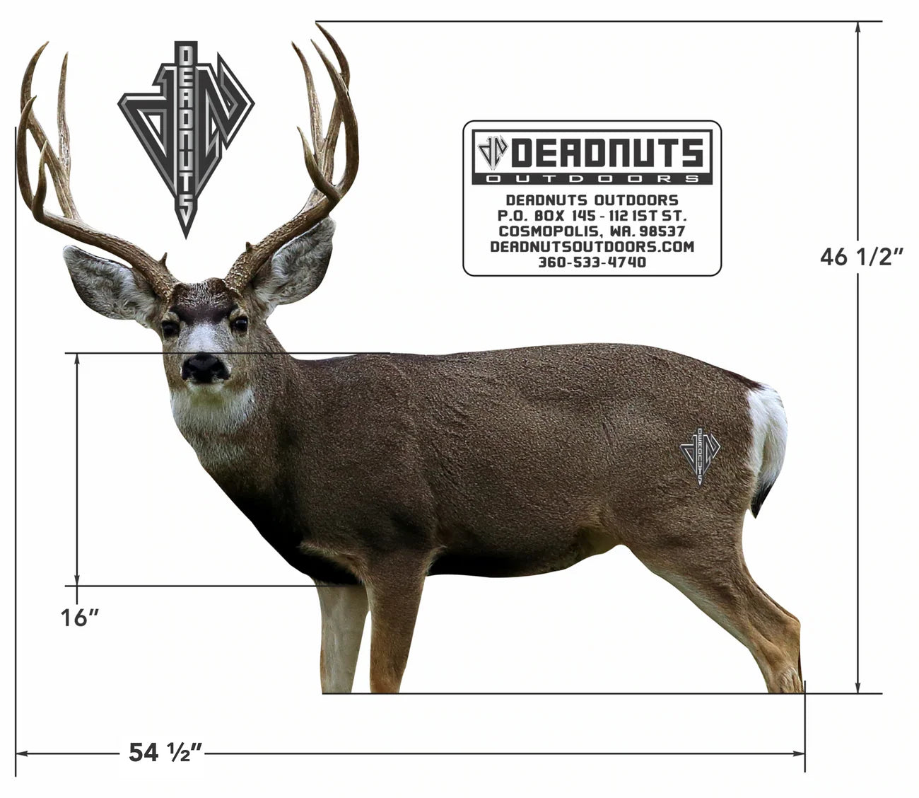 DEADNUTS 2D TARGETS