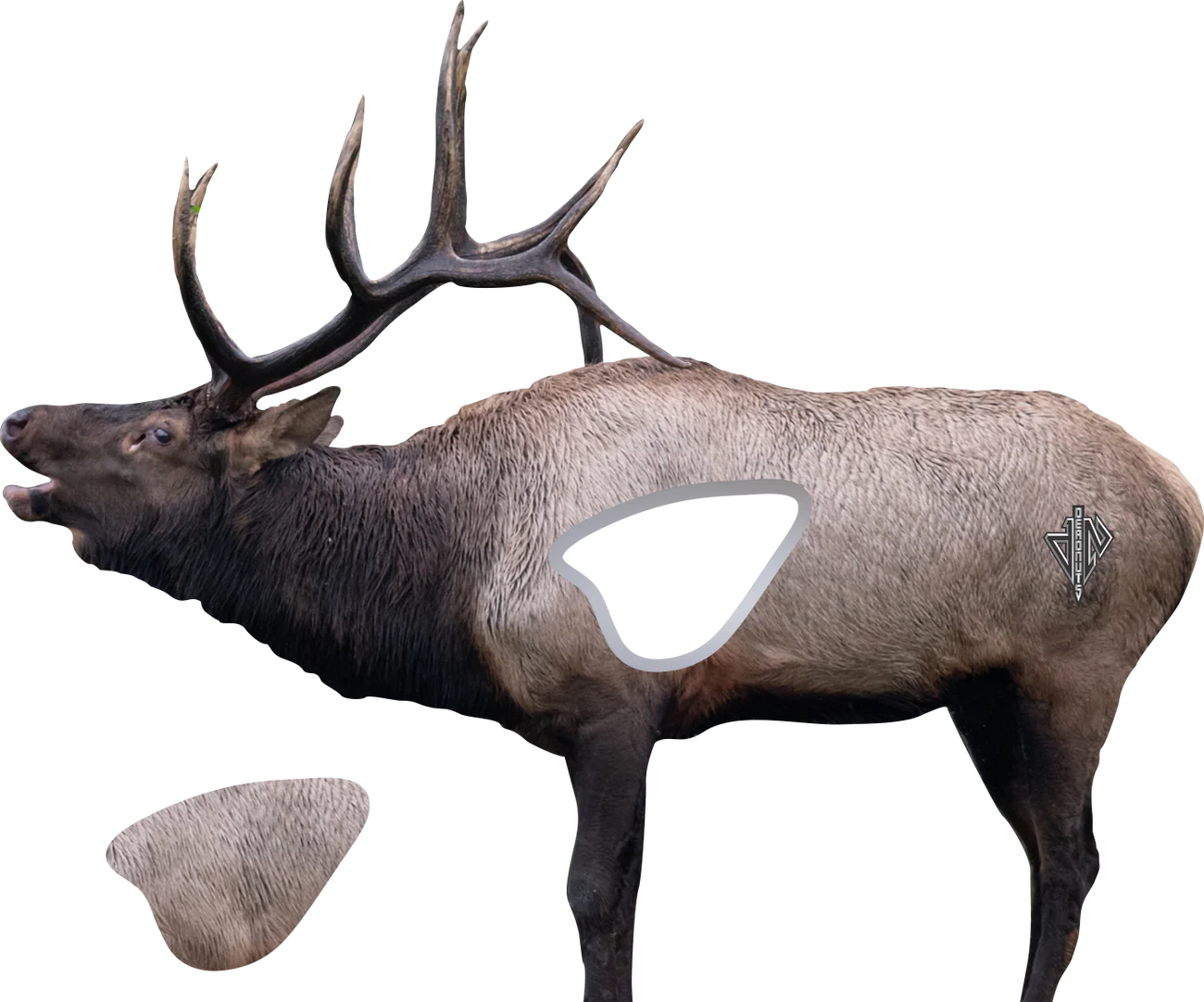 QUIVAR ENABLED DEADNUTS 2D ARCHERY TARGETS