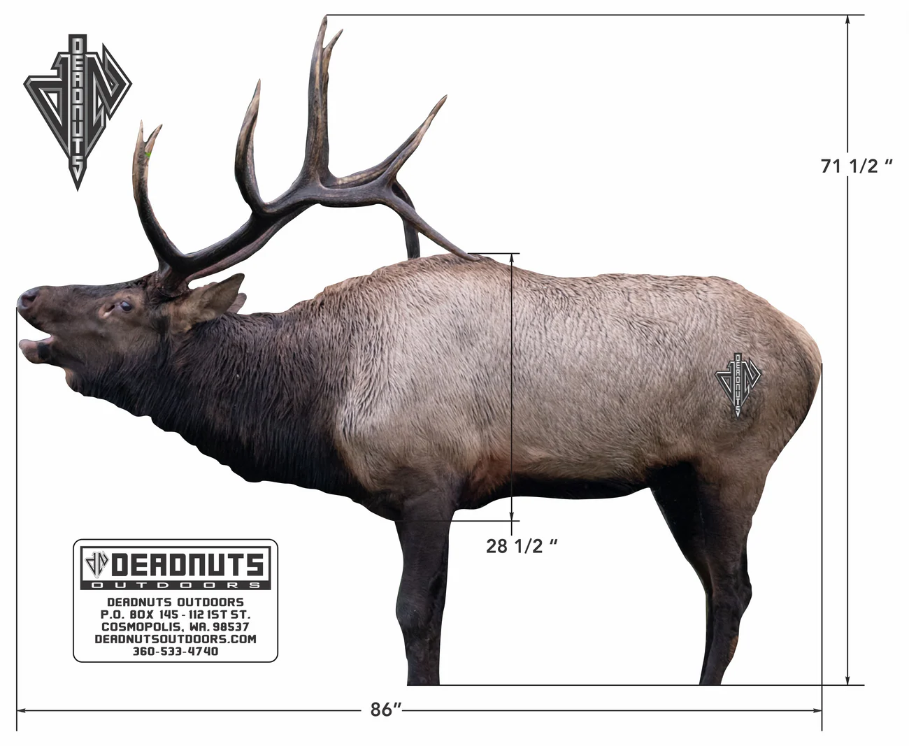 DEADNUTS 2D TARGETS