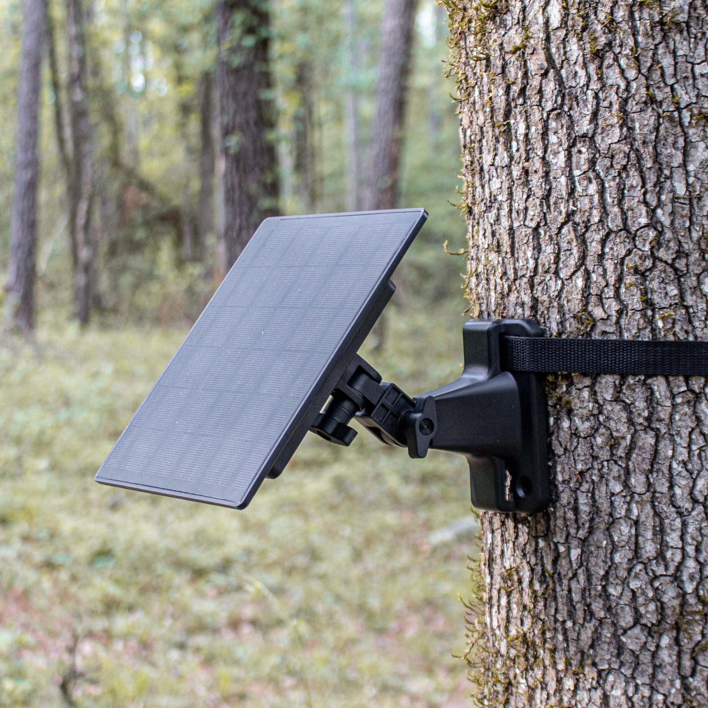 WISE EYE Solar Charger