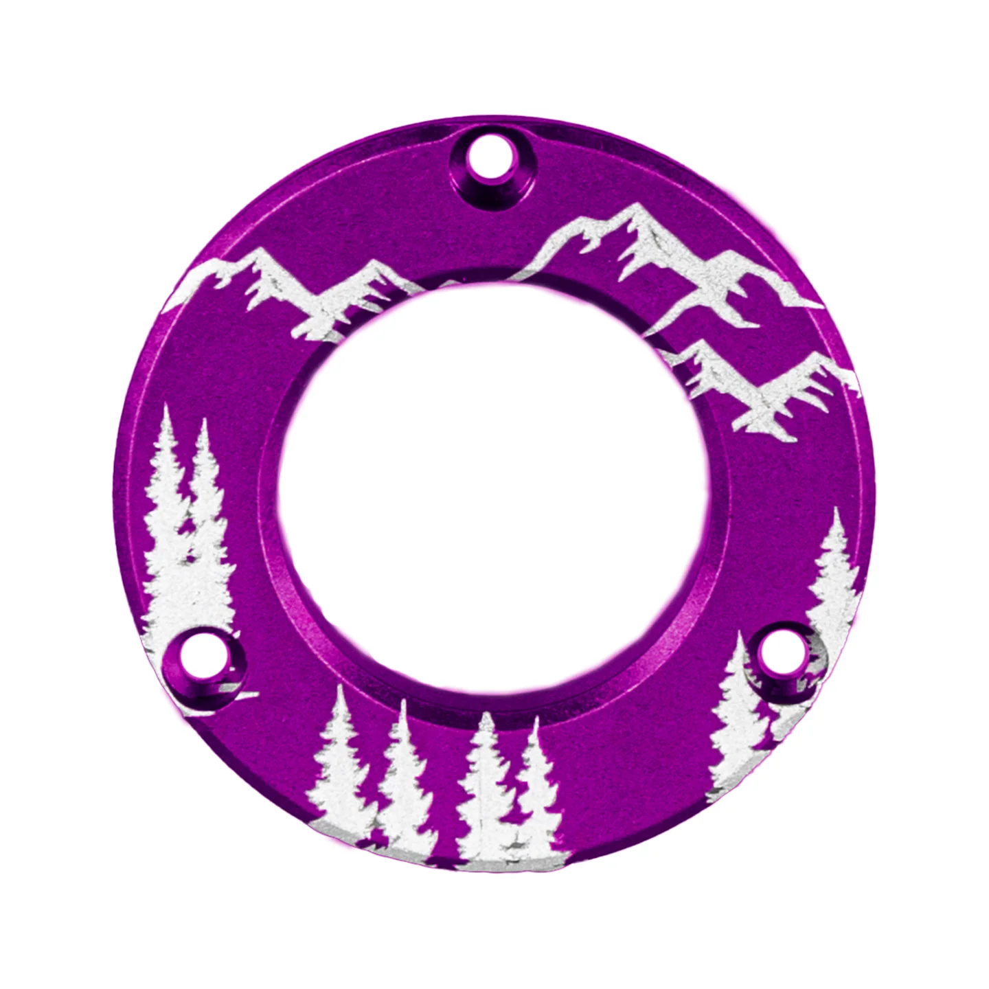 AXCEL Driver Hubcap