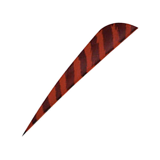 GATEWAY FEATHERS 50 pack