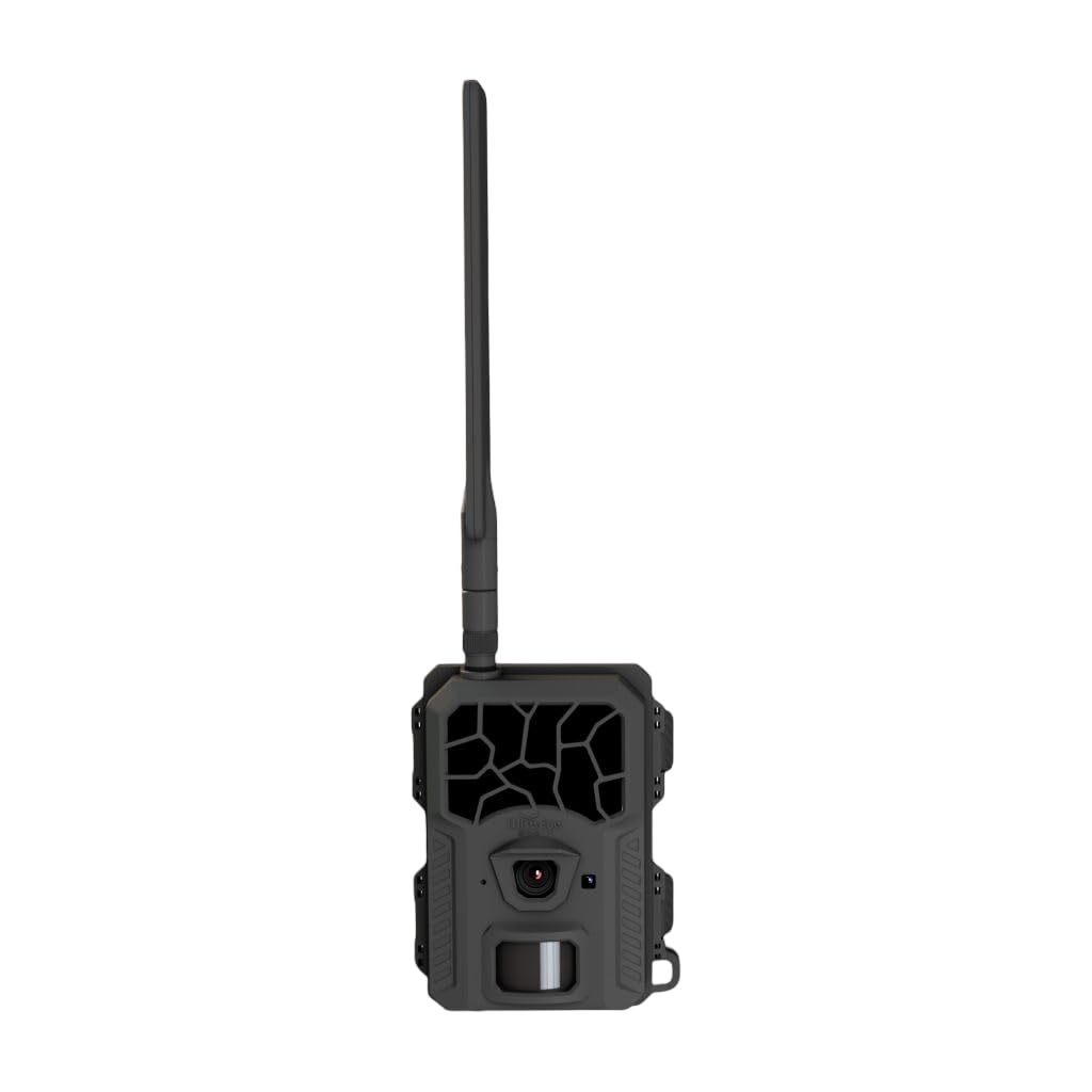 WISE EYE Mini Cam 2