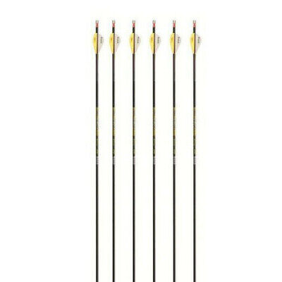 VICTORY VAP Fletched 6 Packs Archery World VICTORY VAP Fletched 6 Packs Archery World